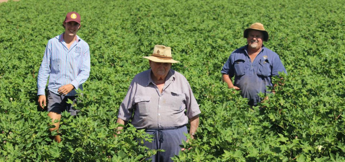AUSTRALIA: Cotton prices hit seven month high
