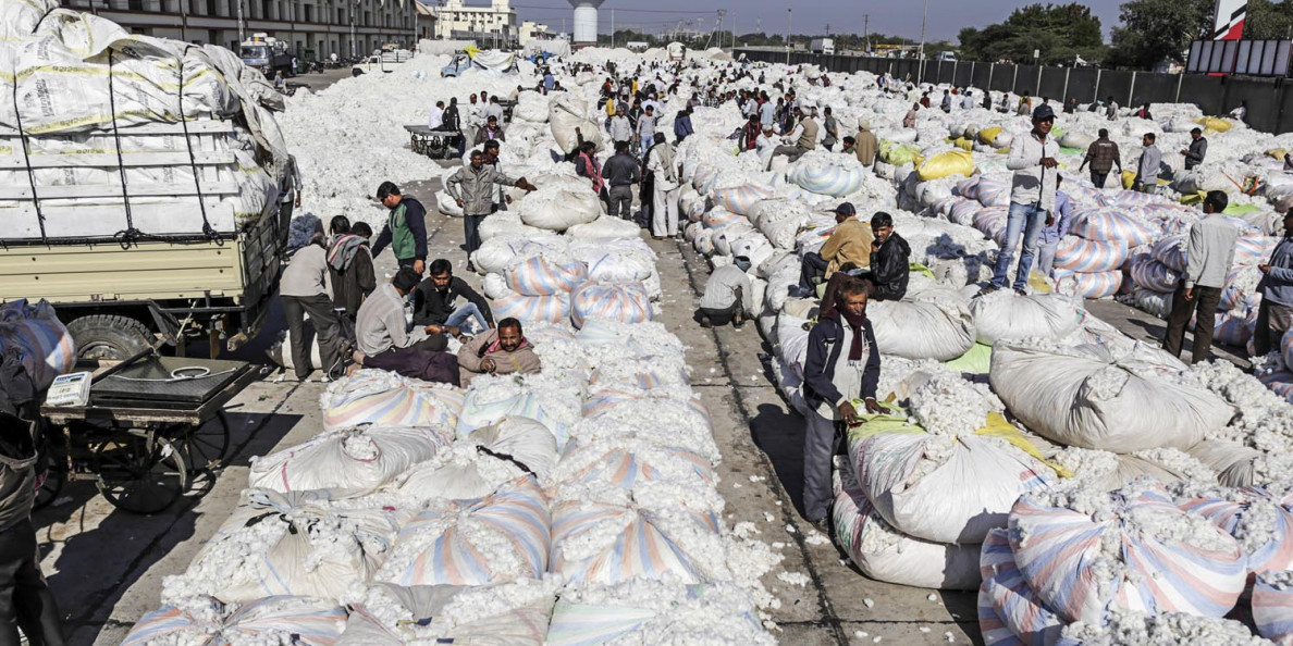 In Cotton Market, India Wins as U.S.-China Dispute Escalates