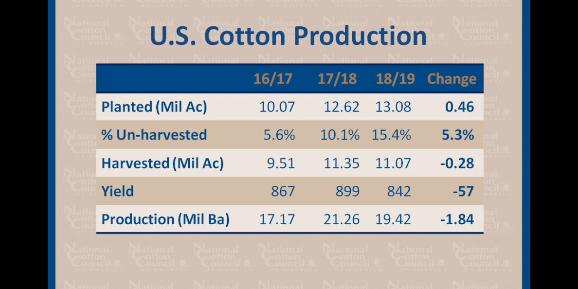 NCC Survey Suggests U.S. Producers to Plant 13.1 Million Acres of Cotton in 2018