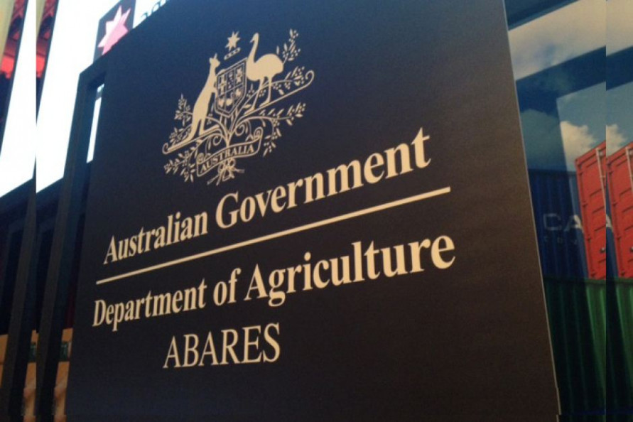 Abares lifts hopes for sugar futures, but cuts its cotton price forecast