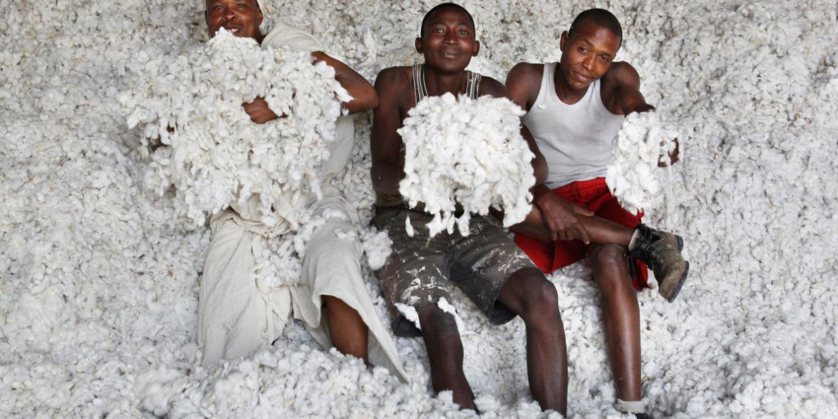Lidl Backs Cotton made in Africa