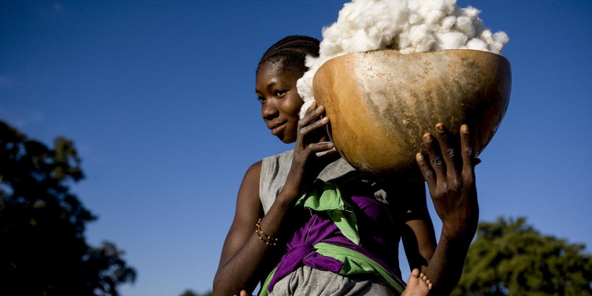 As Mali fights coronavirus, cotton farmers fear loss of climate aid