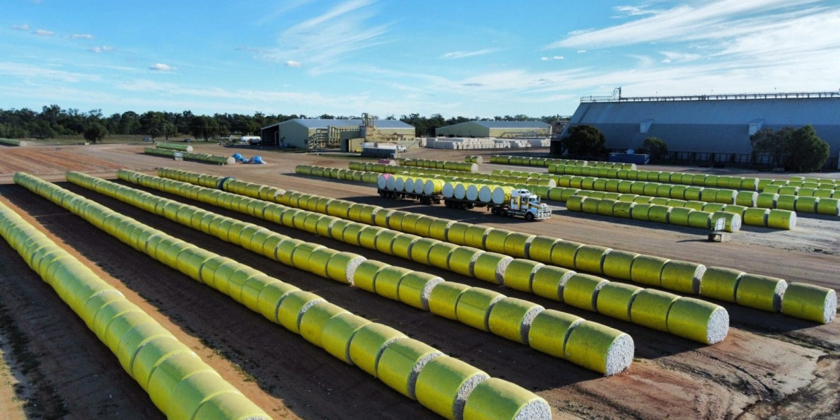 AUSTRALIA: Cotton ginning nears completion as planting starts