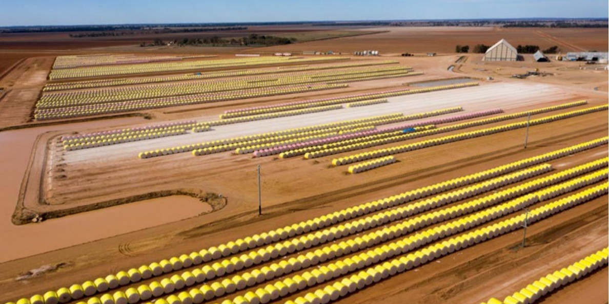 AUSTRALIA: Better Cotton Initiative boss applauds Australian industry