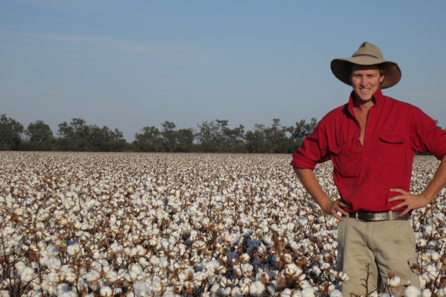 Australian cotton production to grow 4% in 2017-18: ABARES