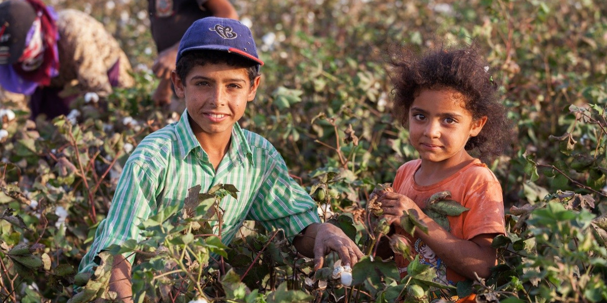 NCC: Eliminate Forced Labor in Global Cotton and Textile Production