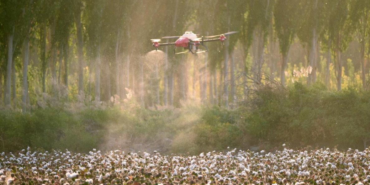 XAG Drone Fleets Take Off for Large-scale Cotton Defoliation Operation in Xinjiang
