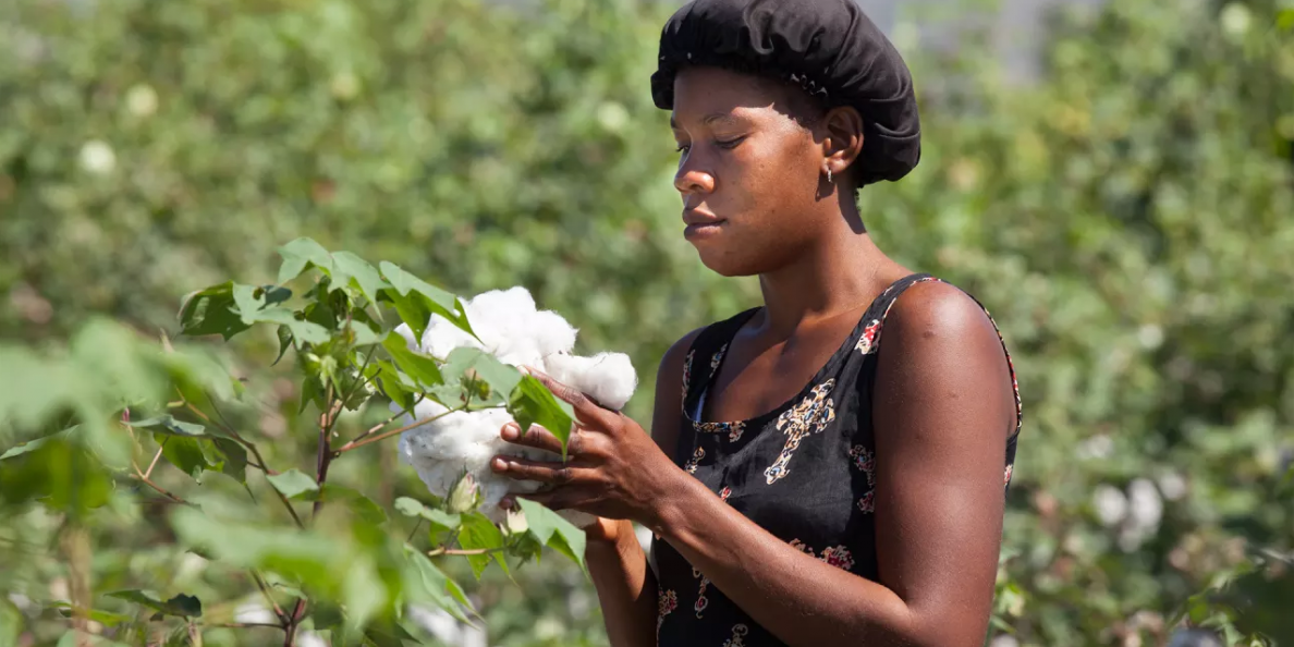 Timberland Supports Haitian Farmers as They Plant Haiti’s First Commercial Cotton Crop in 30 Years