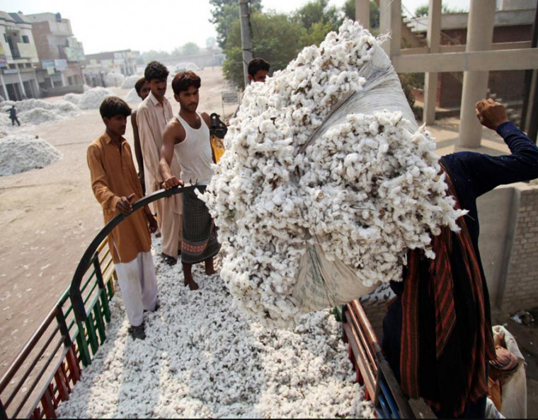 Pakistani cotton prices push up by the lower output