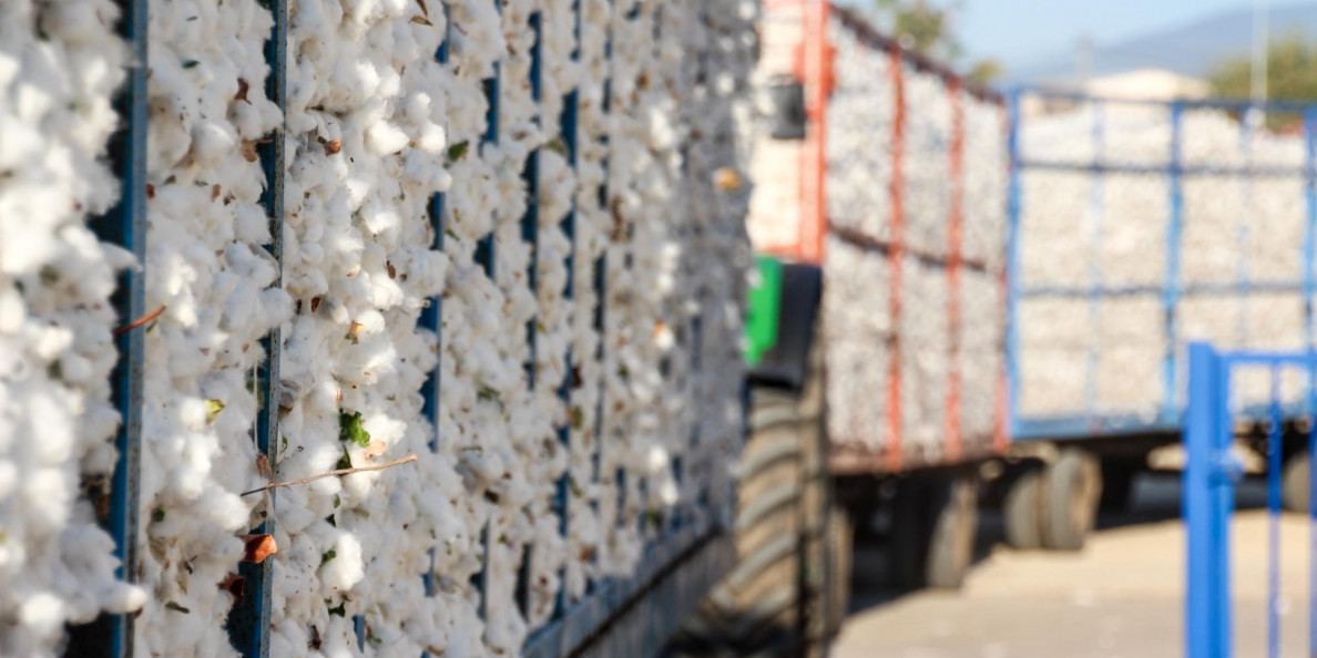 Πρόγραμμα Cotton+: Νέες αναβαθμισμένες υπηρεσίες της Εταιρείας μας προς τους βαμβακοπαραγωγούς συνεργάτες μας