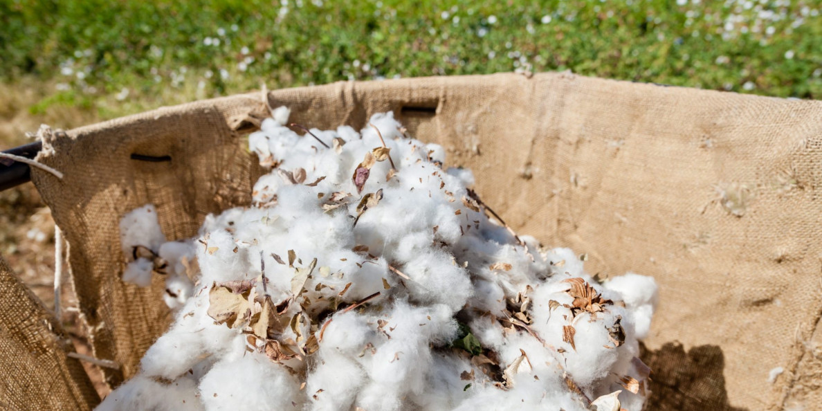 Turkey: Cotton and Products Update