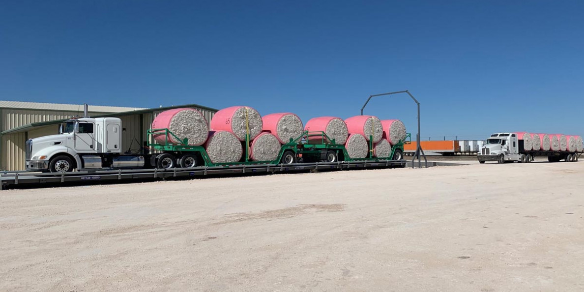 Cotton Demand Continues to Drop