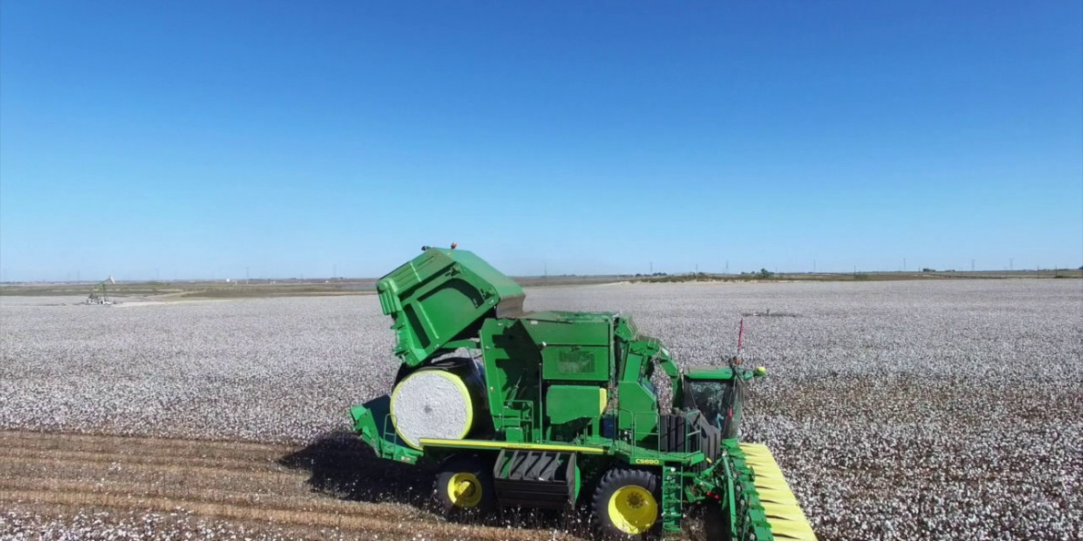 Cotton Spin: Cotton prices hang in the balance