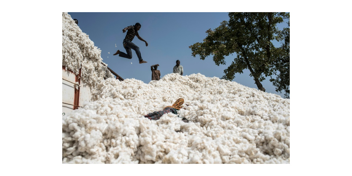 New partners for Cotton made in Africa