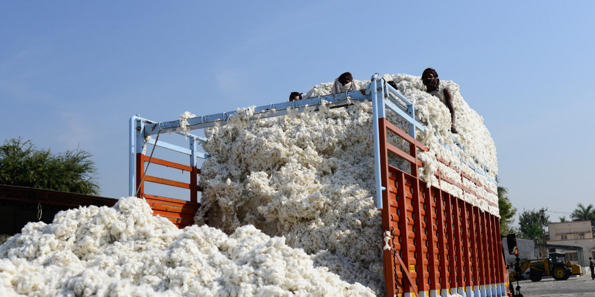 Ivory Coast cotton output to jump in 2023/24, minister says