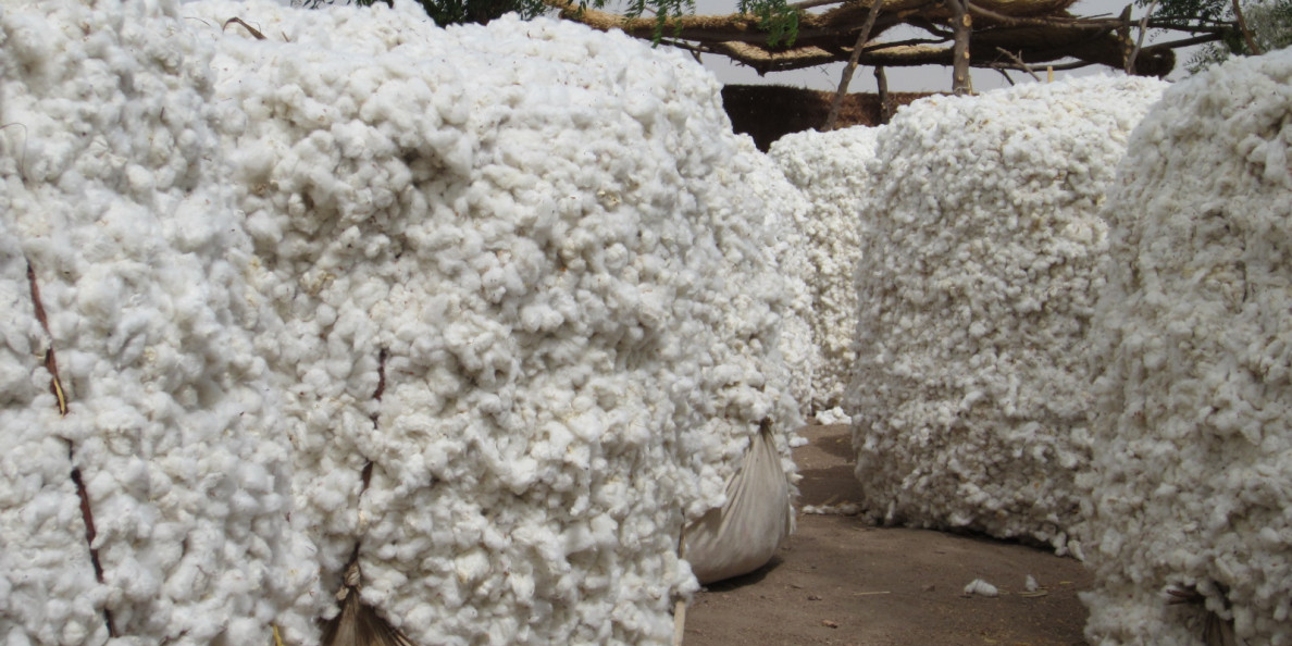 Cameroon to contract a XAF15bn cotton loan with BADEA