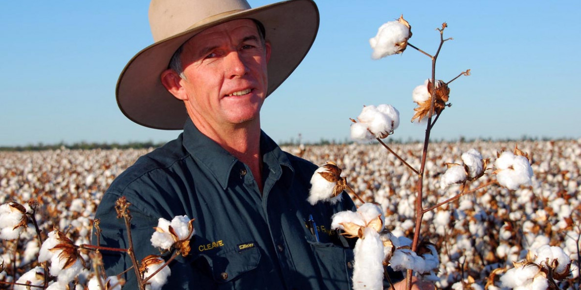 AUSTRALIA: Cotton prices: New benchmark set as high-paying crop gets on a roll