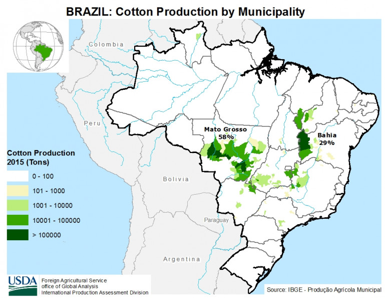 Cotton prices show upward trend in Brazilian market