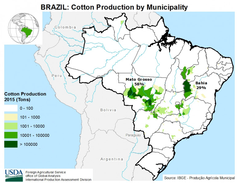 Brazilian cotton prices up 6% in first fortnight of Dec