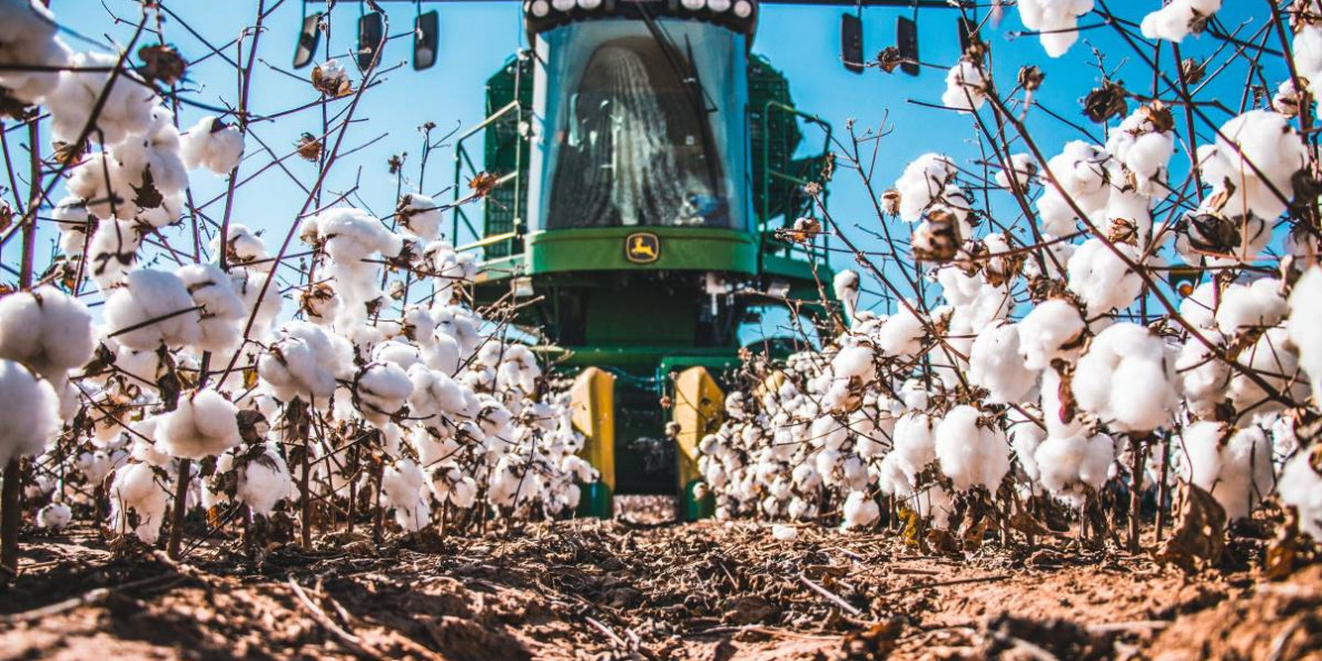 Cotton Incorporated: Land and Cotton Production