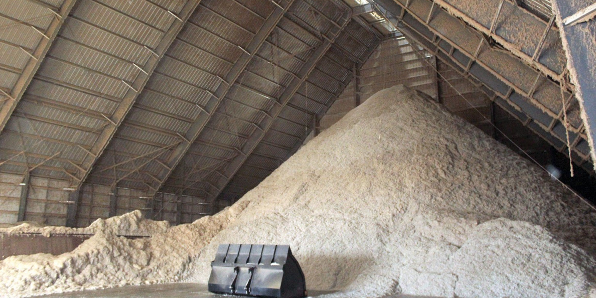Promoting cottonseed offers opportunity for gin revenue