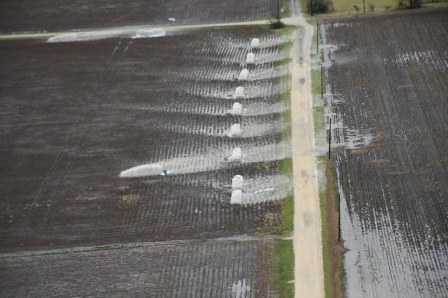 AM markets: new hurricane fears blow cotton futures higher