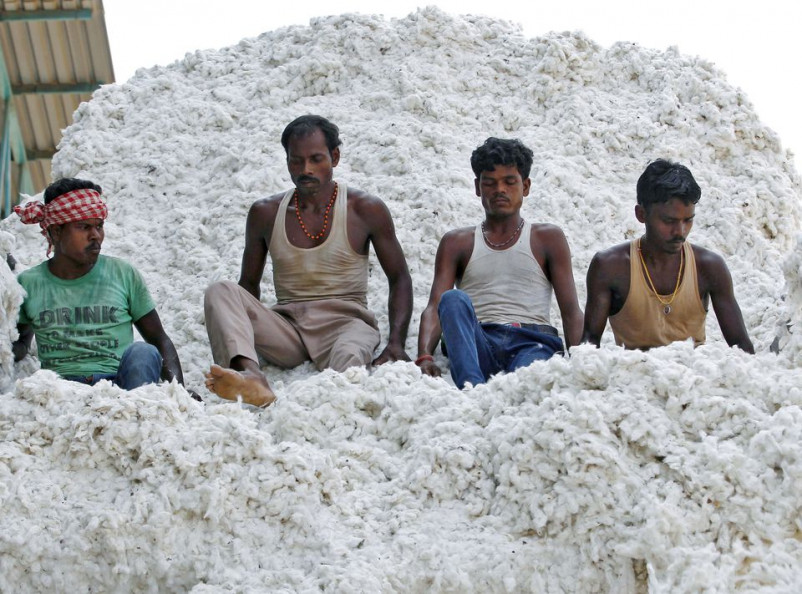 India's cotton exports to hit 18-year low as output drops - trade body