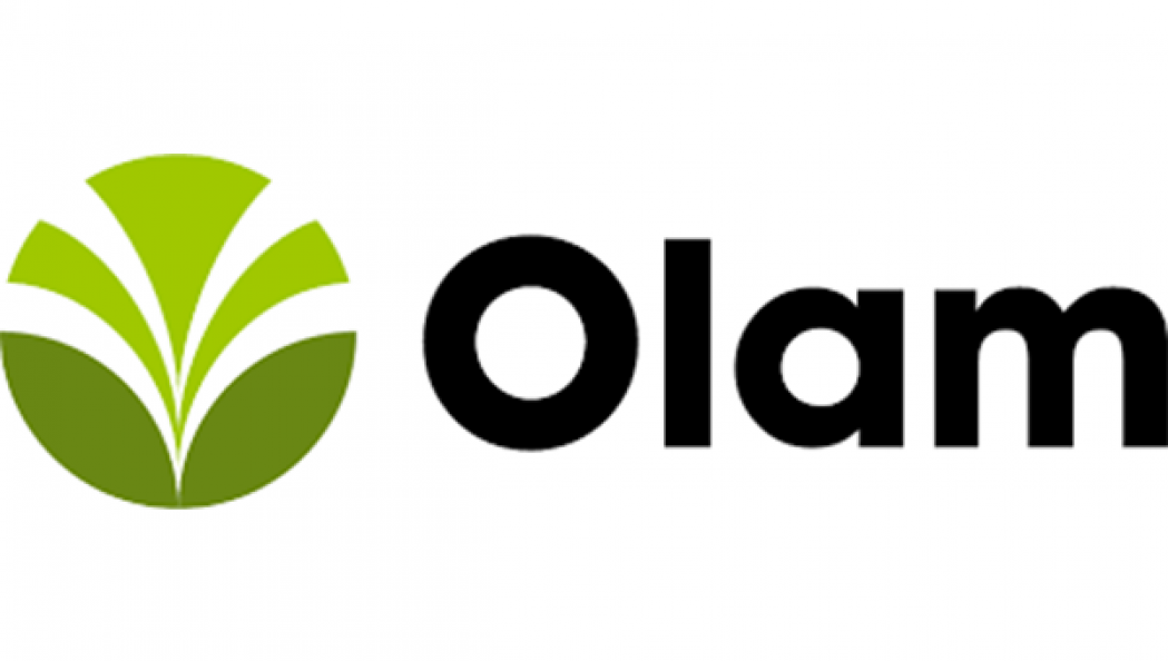 Olam secures US$150m loan to purchase sustainable cotton