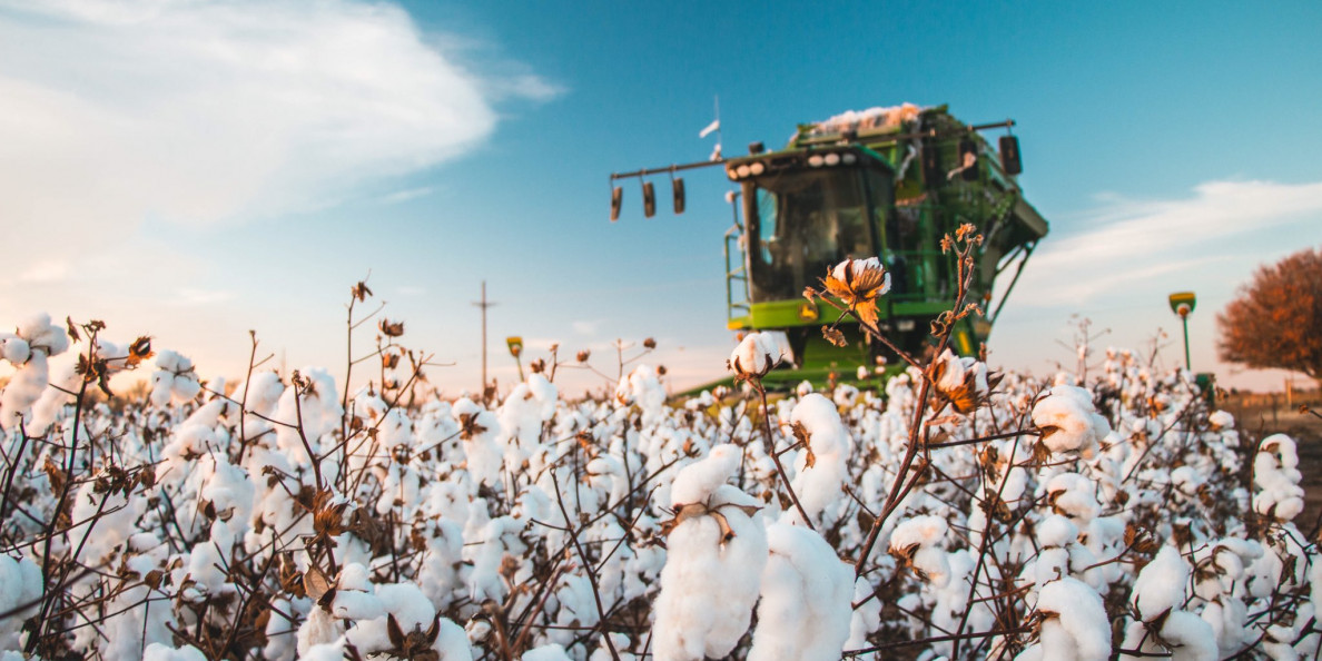 Indian Delegation Evaluates New Cotton Application Technology