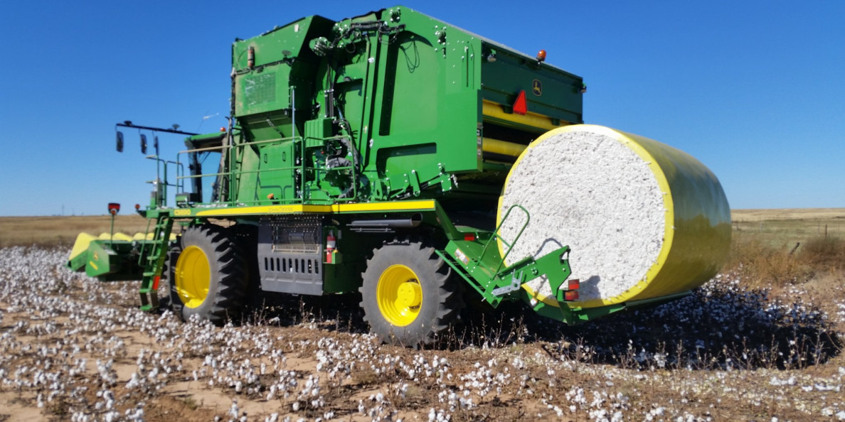 The Cotton Trader: Liquid natural gas and soybeans, cotton to follow.