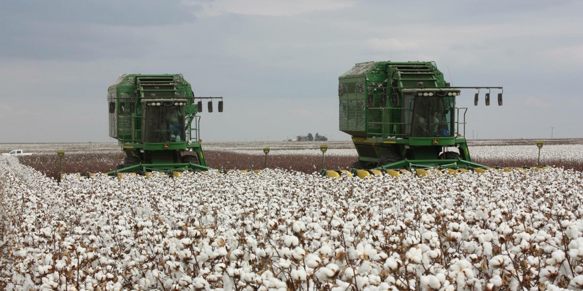 Thompson On Cotton: 2 Factors Offer Potential Price Support In 2018