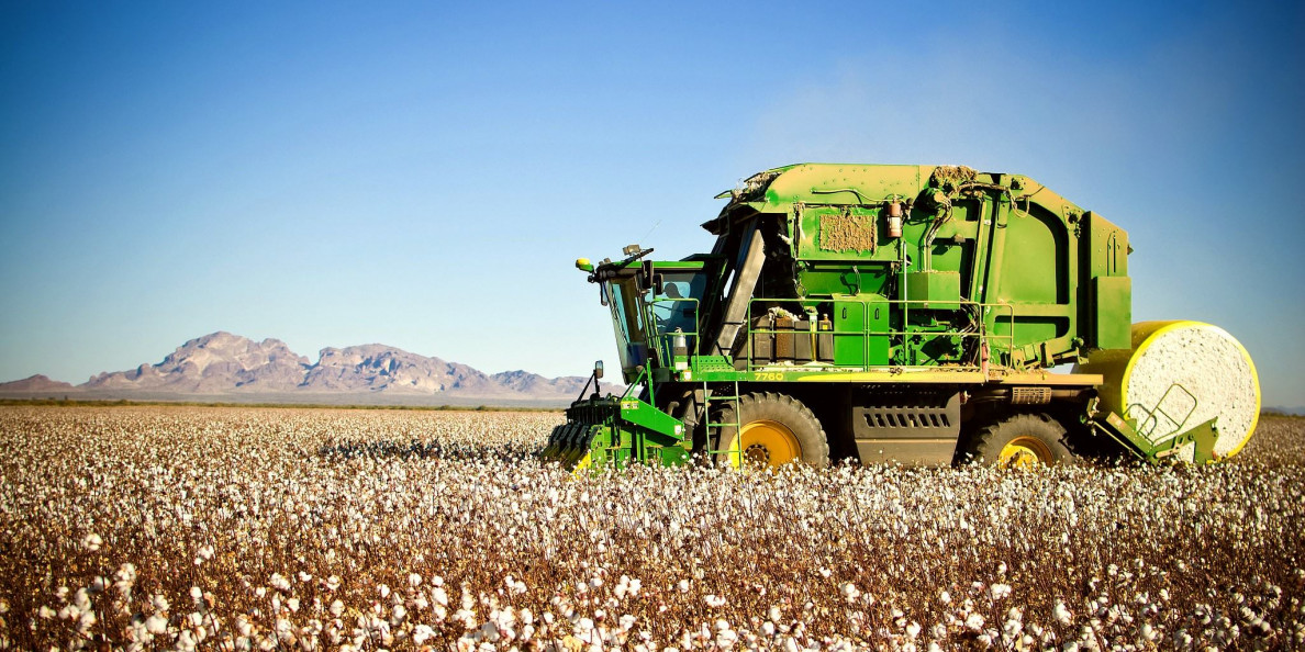USA: Cotton makes a comeback in U.S. Plains as farmers sour on wheat
