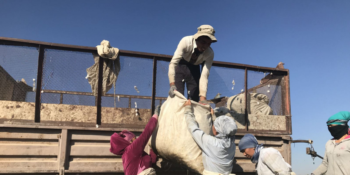 Uzbekistan: US-backed project aims to eliminate forced labour in Uzbek cotton supply chain
