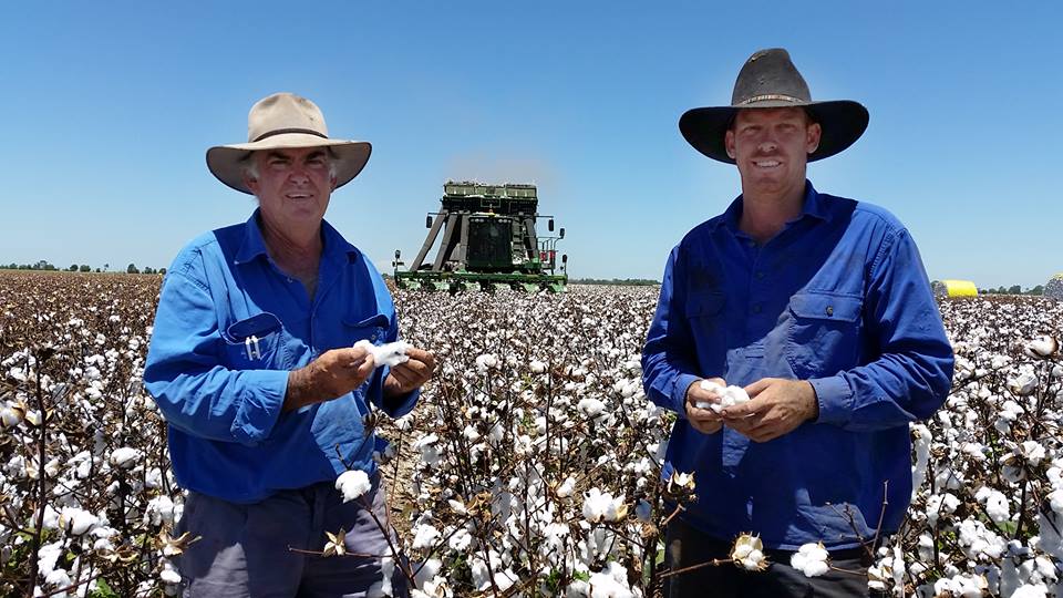 AUSTRALIA: China buys up cotton