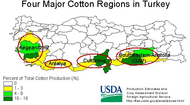 TURKEY: WILL COTTON ACREAGE FALL AFTER POOR RETURNS OF 2018 AND INFLATION CONCERNS?
