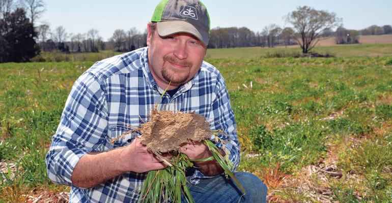 Cover crops are crucial to sustainability on Griggs farm