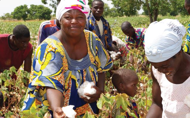 Ivory Coast says cotton output to hit pre-war levels next season