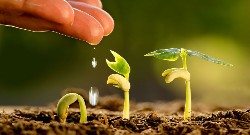 Top 4 Agritech Trends To Watch In 2019