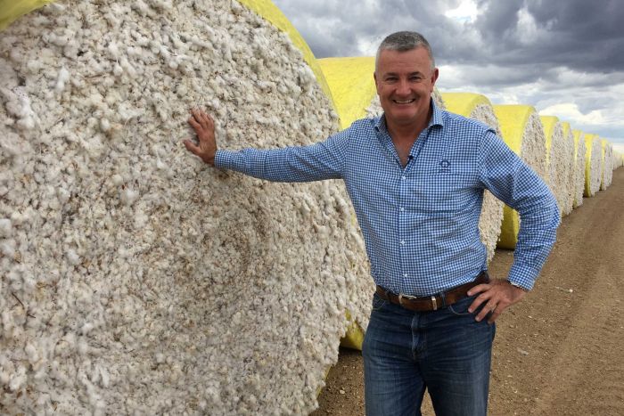 AUSTRALIA: Dry season bites into cotton yields