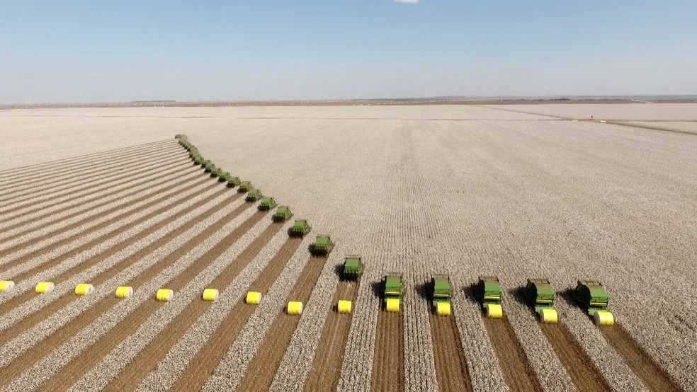 AI Transforms Brazilian Agri Production