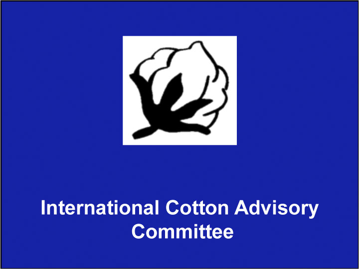 ICAC: Cotton Prices Expected to Remain at Elevated Levels throughout 2021/22