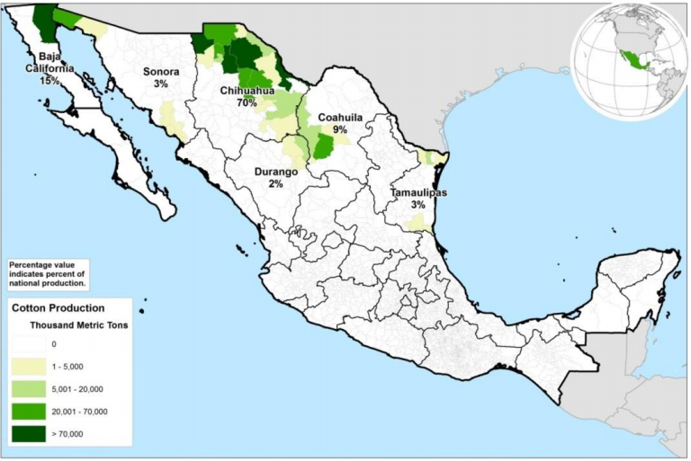MEXICO 2019/20 COTTON OUTPUT TO RISE 2.3 PCT YR/YR - USDA ATTACHE