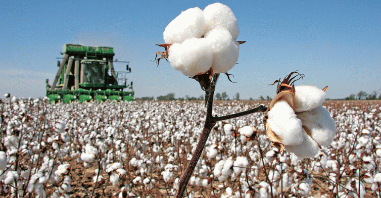 Ongoing Trade Tensions Between the U.S. and China Creating Uncertainty in the World Economy, Global Cotton Market