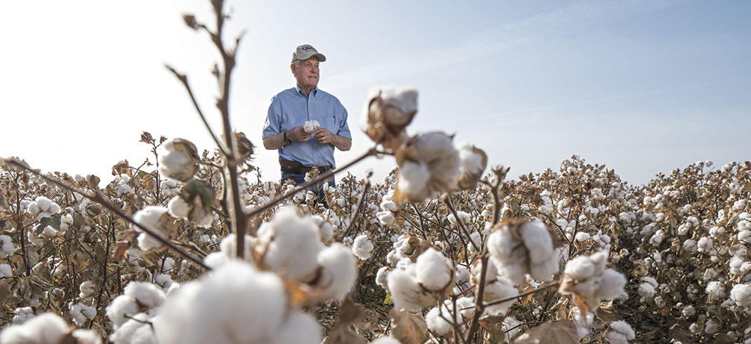 Sustainable Cotton, Responsible Growers