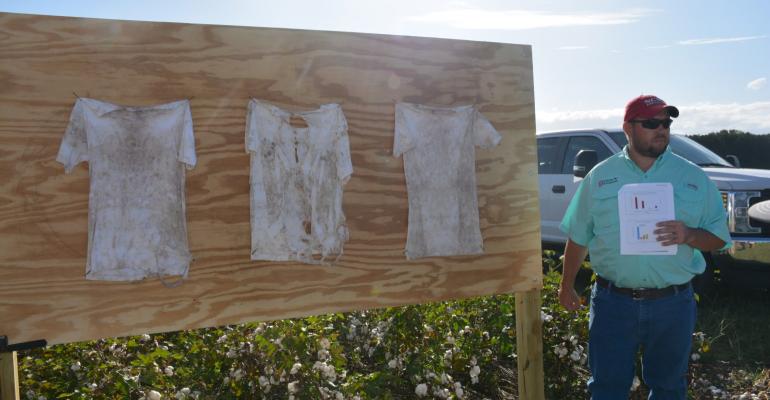 Dirty shirts prove cover boosts soils and cotton's sustainability story